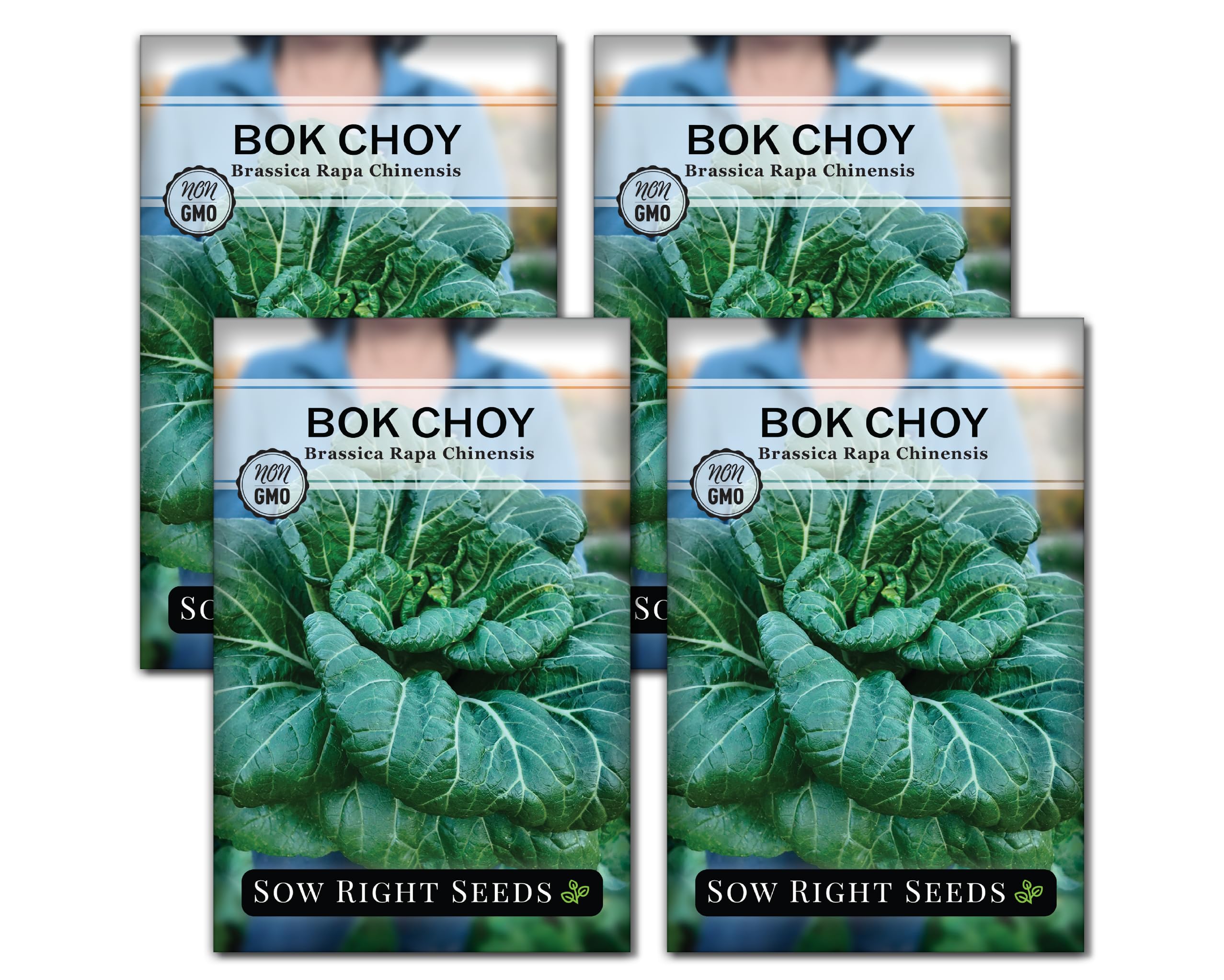 chobi's garden　904545 Amazon.com : Sow Right Seeds - Bok Choy Seeds for Planting - Pak